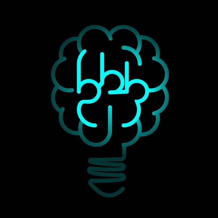 Big Bright Brain 1